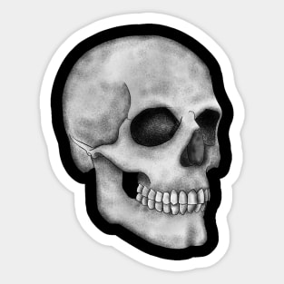 Skull Sticker